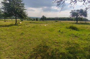 Casă - 3 camere de vanzare RADAUTI - Suceava anunturi imobiliare Suceava