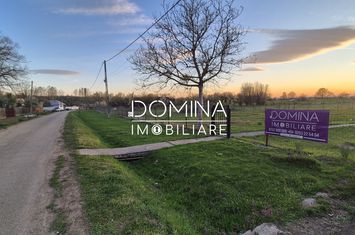 Teren de vanzare SCOARTA - Gorj anunturi imobiliare Gorj