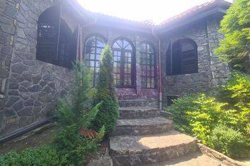 Vila de vanzare in Campina - Zona Lunca Mare anunturi imobiliare Prahova