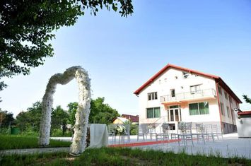 Vilă - 5 camere de vanzare BRANISTE (PODARI) - Dolj anunturi imobiliare Dolj