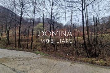 Teren de vanzare PESTISANI - Gorj anunturi imobiliare Gorj