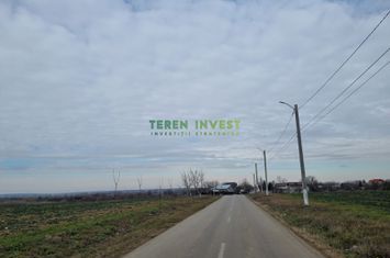 VANZARE TEREN INTRAVILAN 7.500 MP - CERNICA anunturi imobiliare Bucuresti