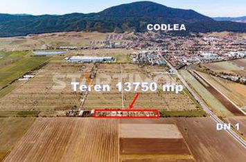 Teren Industrial Sere Codlea anunturi imobiliare Brasov