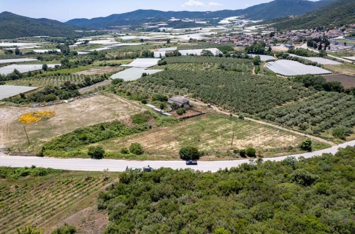 Teren 4874 mp la intrarea în Folia anunturi imobiliare Grecia