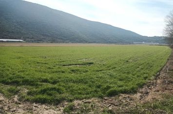 Teren agricol 5.500 mp de închiriat în Moustheni anunturi imobiliare Grecia
