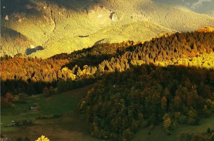 Teren Intravilan de vanzare BRAN - Brasov anunturi imobiliare Brasov