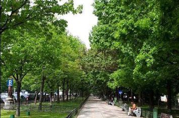 Vanzare apartament de 4 camere in zona bd Unirii-Casa Poporului anunturi imobiliare Bucuresti