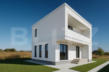 Vilă - 4 camere de vanzare CETATE - Alba anunturi imobiliare Alba