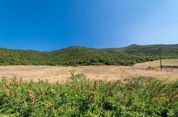 Teren construibil 18.801,47 mp în Amigdaleonas anunturi imobiliare Grecia