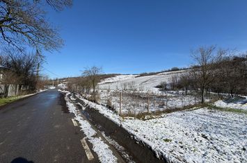 Teren de vanzare GHERCESTI - Dolj anunturi imobiliare Dolj