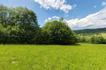 2,2 HA TEREN EXTRAVILAN FANEATA, in Muntii Apuseni, Negreni, jud. Cluj anunturi imobiliare Cluj