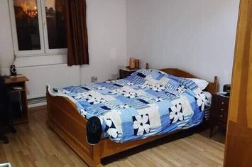 Soseaua Pantelimon sector 2, Vila 7 camere P+1+M, an 2007 anunturi imobiliare Bucuresti