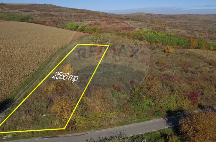 Teren Pădureni (Chinteni), intravilan, parcelabil anunturi imobiliare Cluj