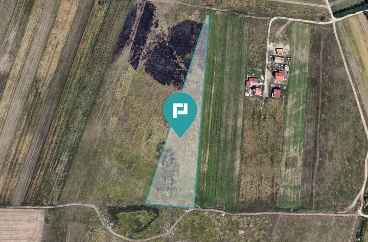 Teren Agricol Extravilan - Giroc, 11.000 mp anunturi imobiliare Timis