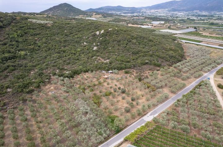 Teren 2.240 mp în Nea Peramos, la 500 m de mare anunturi imobiliare Grecia