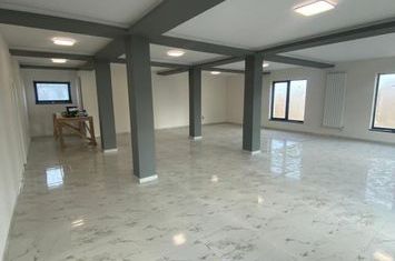 Vilă - 4 camere de vanzare CORNESTI - Iasi anunturi imobiliare Iasi