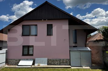 Vilă - 4 camere de vanzare VINTU DE JOS - Alba anunturi imobiliare Alba
