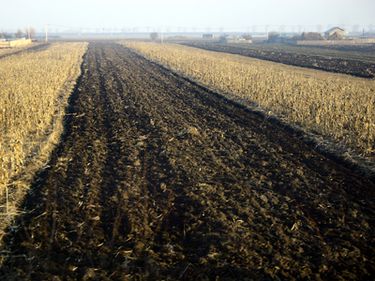 Firma Bogaris a vândut un teren agricol din România cu 2 mil. euro