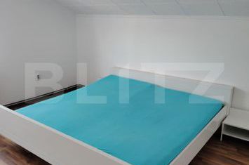 Vilă - 4 camere de inchiriat PACLISA - Alba anunturi imobiliare Alba