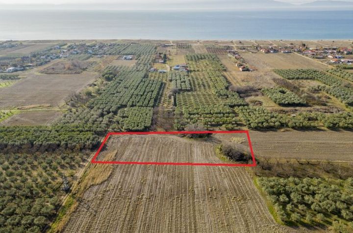 Teren agricol 4.000 mp în Paralia Ofriniou anunturi imobiliare Grecia