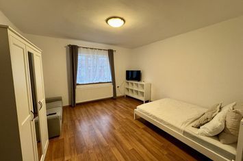 Studio pet friendly, 42mp la casa in Astra, str Baba Novac anunturi imobiliare Brasov