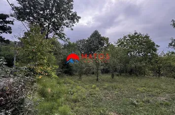 Teren Intravilan de vanzare POIANA CAMPINA - Prahova anunturi imobiliare Prahova