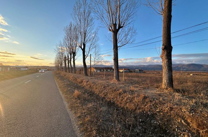 Teren de vanzare TETILA - Gorj anunturi imobiliare Gorj