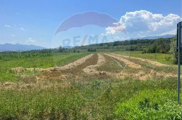 Teren pentru Dezvoltare 14.800 mp -Vestem anunturi imobiliare Sibiu