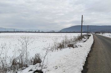 320 ha pasune si pasune impadurite pentru arenda, superficie sau achititie anunturi imobiliare Arad