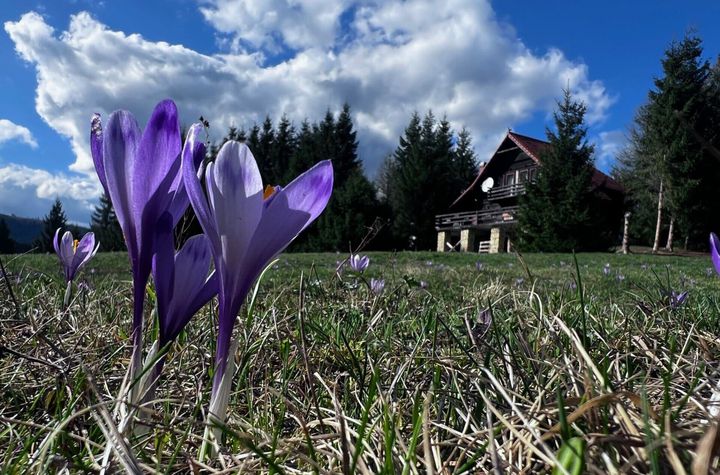 Cabana Exclusivista de vanzare in Belis - Cluj + 14.715 mp teren anunturi imobiliare Cluj