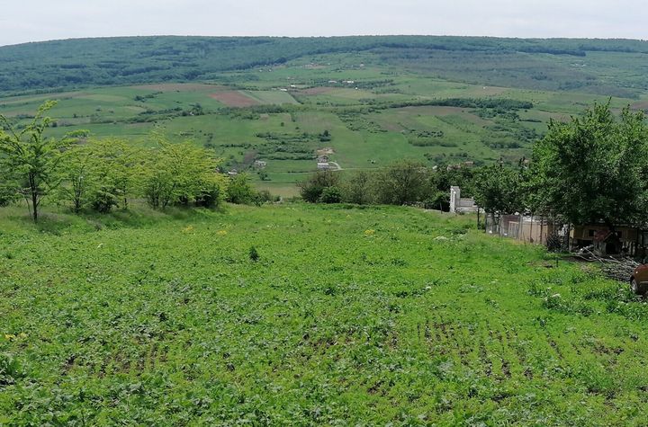 CHICEREA, TOMESTI, TEREN DE VANZARE, 3000 MP anunturi imobiliare Iasi