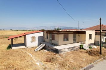 Casă individuală 96 mp în Ftelia, teren 1.370 mp anunturi imobiliare Grecia
