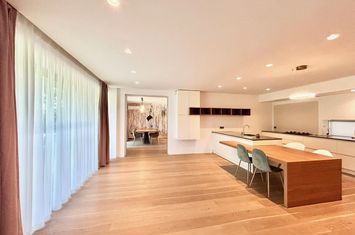 Villa with modern architecture, generous yard, Iancu Nicolae area anunturi imobiliare Bucuresti