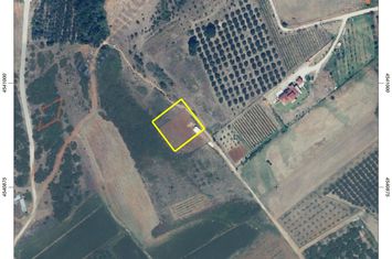 Teren agricol împrejmuit 2003 mp, Neos Xerias anunturi imobiliare Grecia