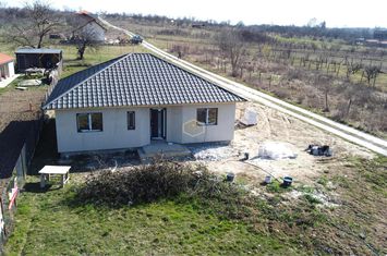 Casă - 3 camere de vanzare VIILE SATU MARE - Satu Mare anunturi imobiliare Satu Mare
