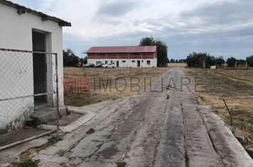 De vânzare fermă avicolă – Salonta, județul Bihor anunturi imobiliare Bihor