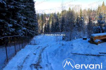 Teren Intravilan de vanzare PREDEAL - Brasov anunturi imobiliare Brasov