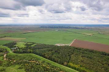 Teren Pășune Impădurită 289 hectare anunturi imobiliare Arad