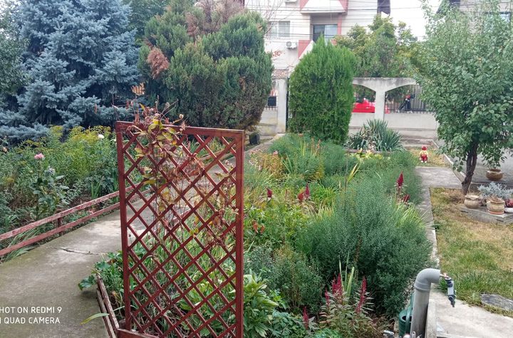 Vila individuala P+1+M  Teren 837mp Paraul Rece anunturi imobiliare Bucuresti
