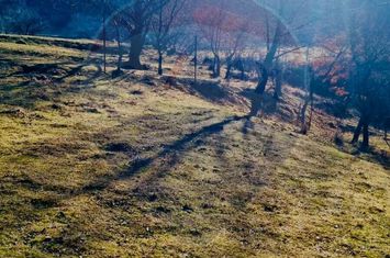 Teren Extravilan in Rasinari 799mp anunturi imobiliare Sibiu
