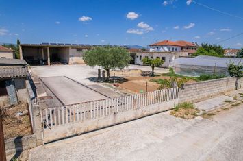 Depozit 386 mp pe teren 1.272 mp în Koudounia anunturi imobiliare Grecia