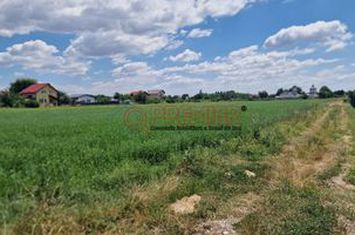 Teren intravilan de 9.500 mp cu deschidere de 46 m – Bolintin-Deal anunturi imobiliare Giurgiu