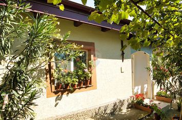 Casă cu teren de vanzare in Rugionasa iasi anunturi imobiliare Iasi