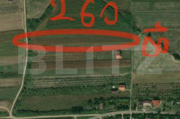 Teren de vanzare VIILE SATU MARE - Satu Mare anunturi imobiliare Satu Mare