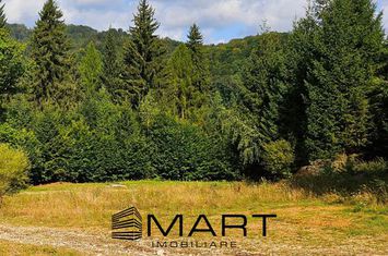 Teren de vanzare DAMBUL MORII - Brasov anunturi imobiliare Brasov
