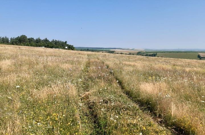 Teren de vanzare SIBIU - Sibiu anunturi imobiliare Sibiu