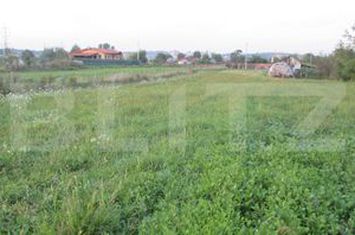 Teren de vanzare TURDA - Cluj anunturi imobiliare Cluj