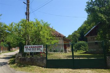 Casă - 4 camere de vanzare BAIA DE CRIS - Hunedoara anunturi imobiliare Hunedoara