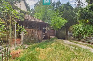 Locuință multifamilială sau investiție - 2 corpuri anunturi imobiliare Timis
