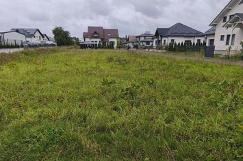 Teren de vanzare RADAUTI - Suceava anunturi imobiliare Suceava
